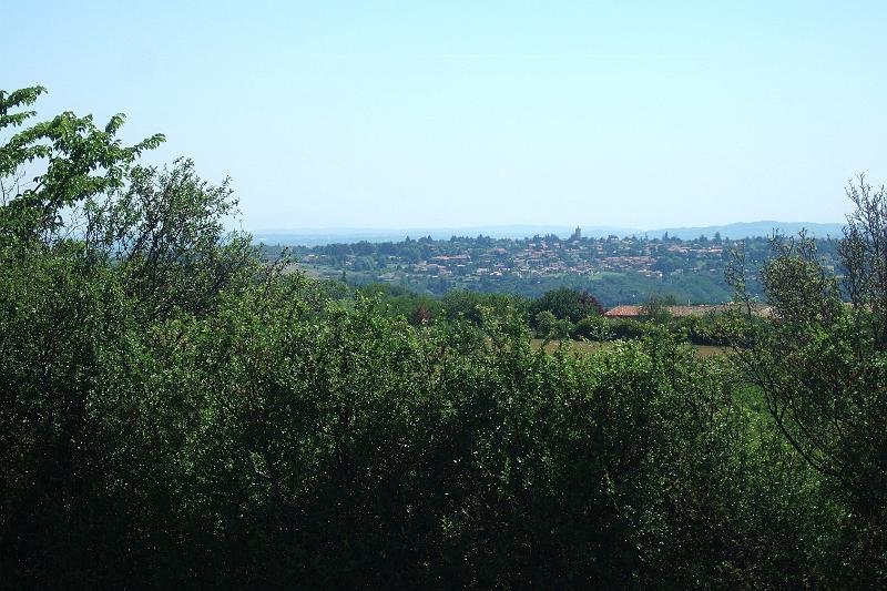 2011-05- (313).JPG - Schon um 12 Uhr ist unser Etappenziel in Sichtweite: Siedlung oberhalb von Givors - im Vordergrund wilder Buchsbaum